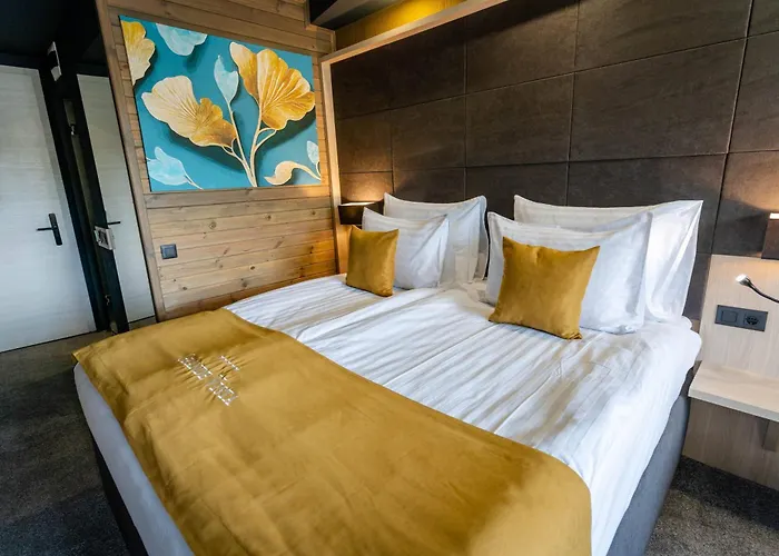 Grande Vista & 5* 西格伏沙尔克